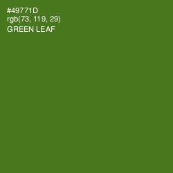 #49771D - Green Leaf Color Image